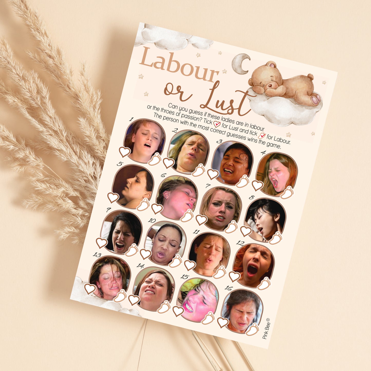 Teddy Lust or Labour Game