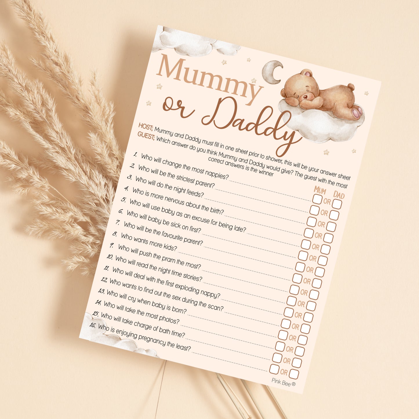 Teddy Mummy or Daddy Game