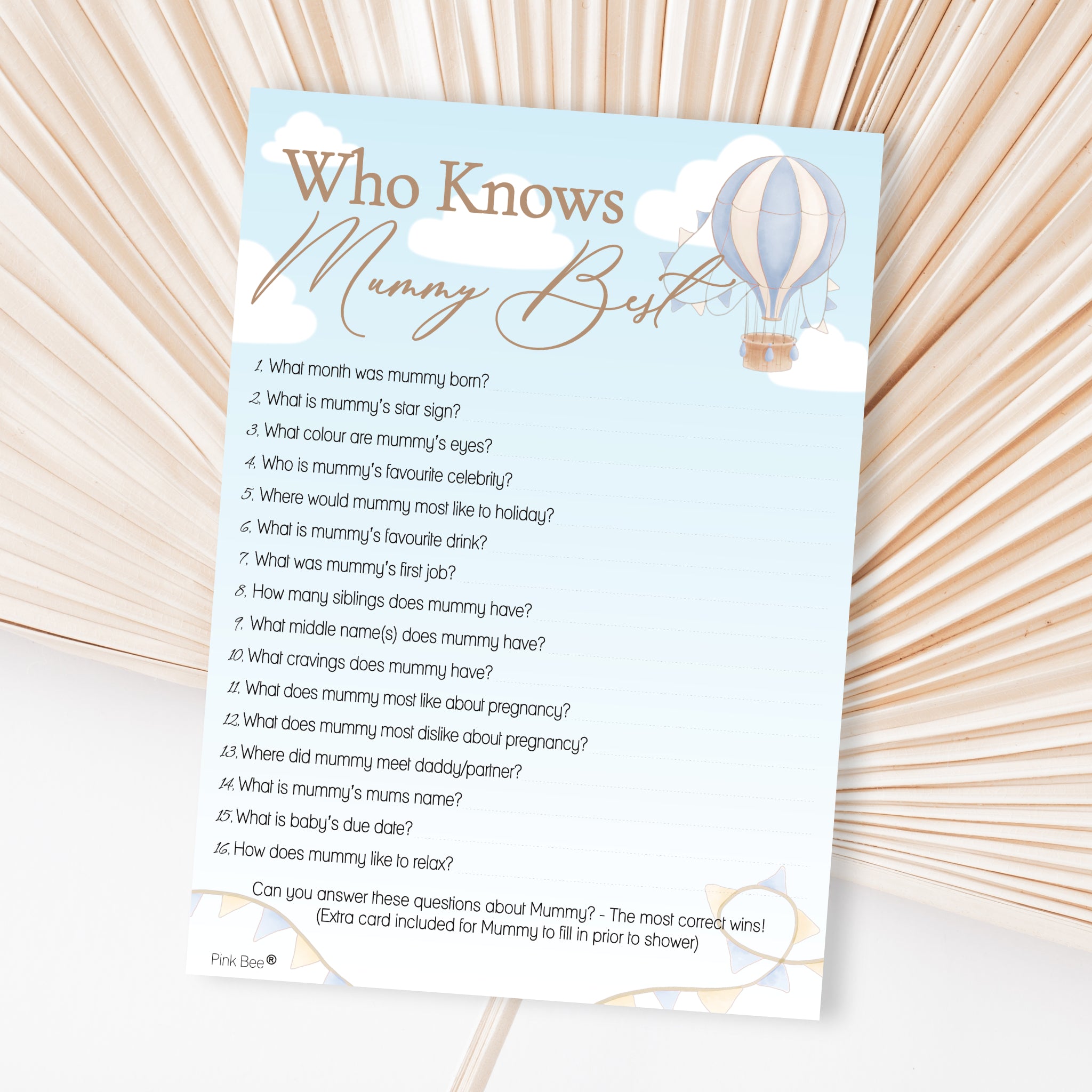 Baby Shower Game Who Knows Mummy Best in Blue Up and Away Theme