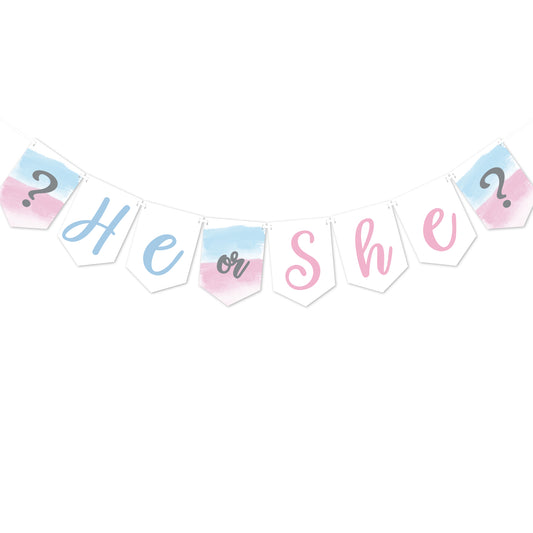 Gender Reveal Banner Decoration, Pink, Blue and White Watercolour Theme
