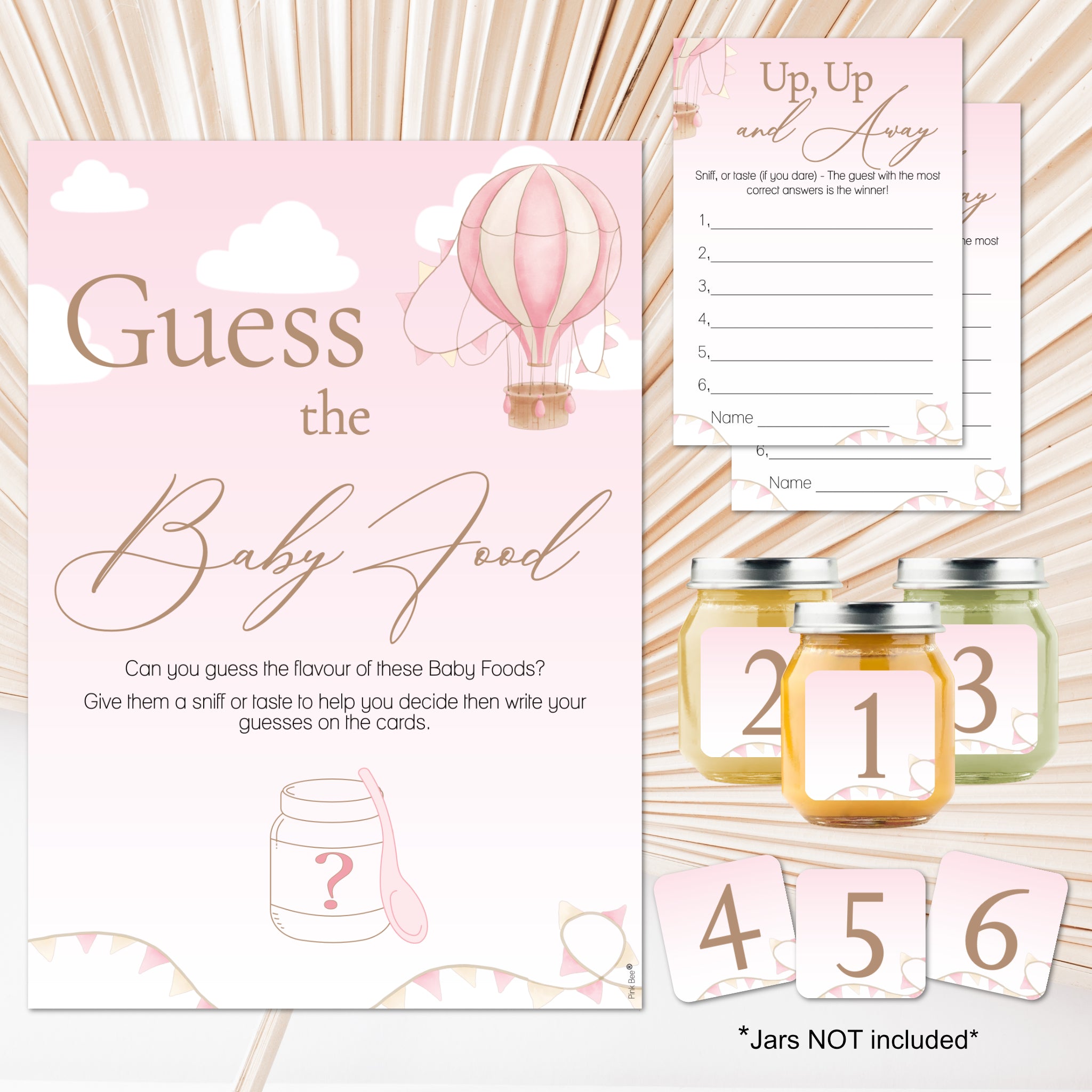 NEW - Up, Up and Away Themed Guess the Baby Food Game in Pink