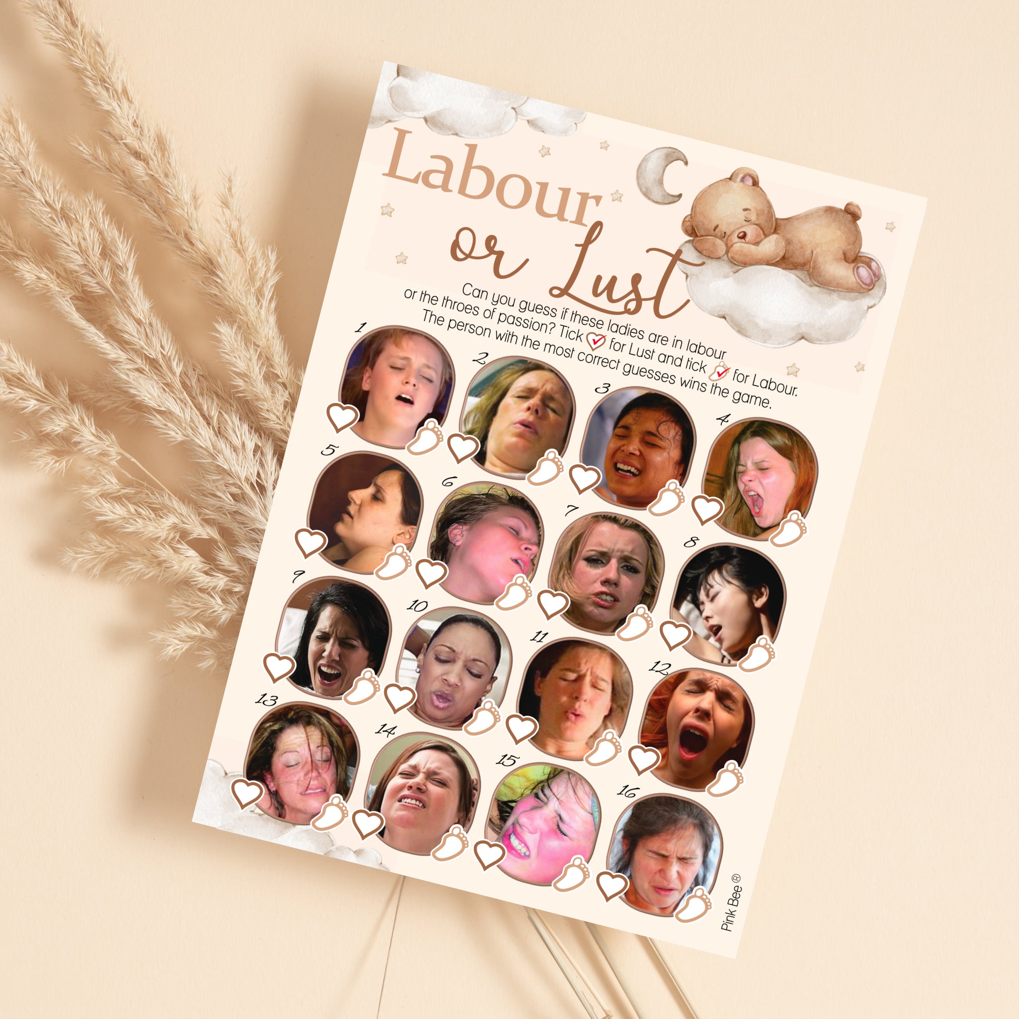Teddy Lust or Labour Game